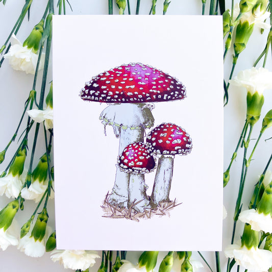 Mushroom Trio Print