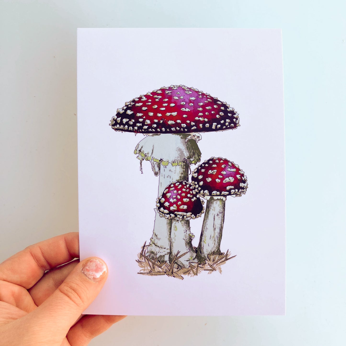 Mushroom Trio Postcard